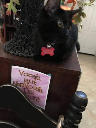 Pet Supply Store «PetSmart», reviews and photos, 12483 Limonite Ave, Mira Loma, CA 91752, USA