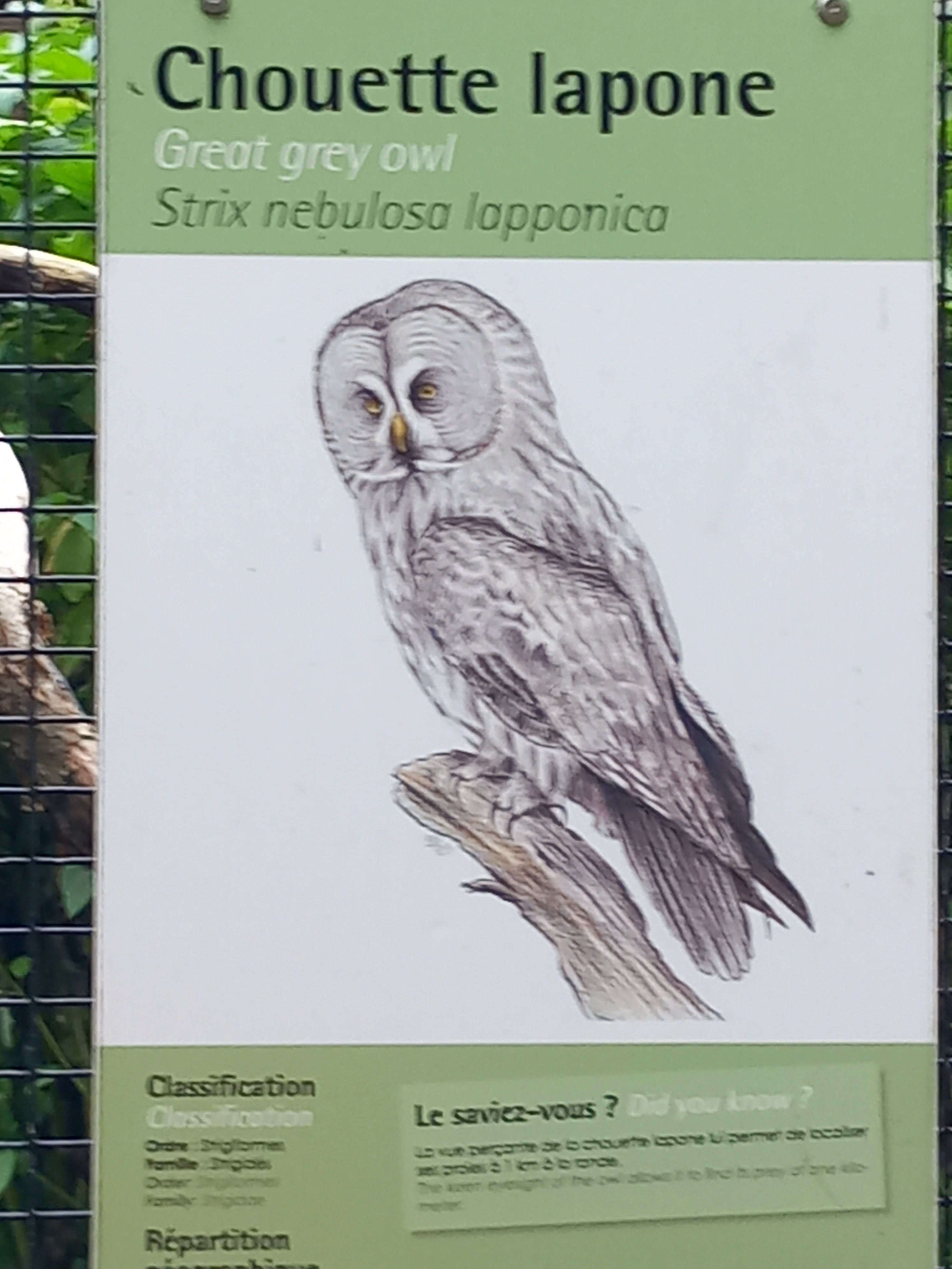 Photo n° 23 de l'avis de Julien.a fait le 11/10/2023 à 18:47