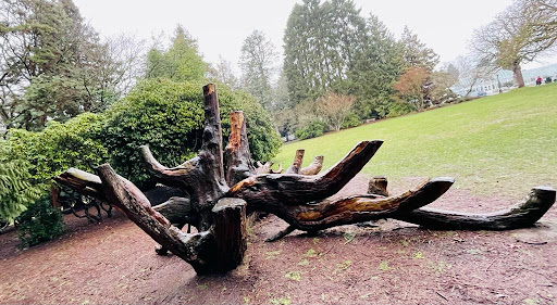 Park «Volunteer Park», reviews and photos, 1247 15th Ave E, Seattle, WA 98112, USA