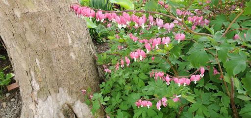 Park «Waterfront Promenade Park», reviews and photos, 22 Merrimac St, Newburyport, MA 01950, USA