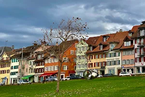 Zug central grass square image