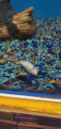 Pet Supply Store «PetSmart», reviews and photos, 6046 Marsha Sharp Fwy, Lubbock, TX 79407, USA