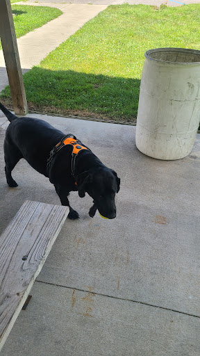 Park «Otis Park», reviews and photos, 607 Tunnelton Rd, Bedford, IN 47421, USA