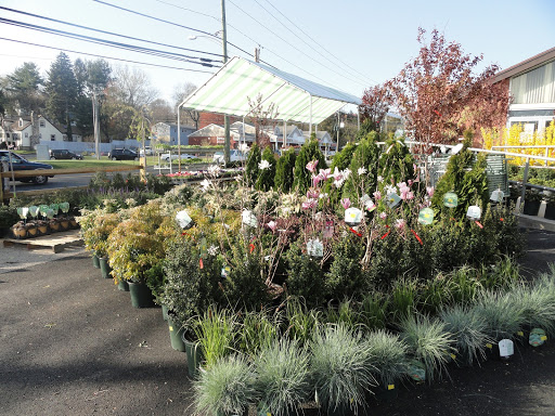 Treeland Garden Center & Nursery