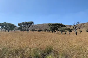 Kgaswane Mountain Reserve image