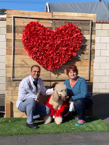 Nohl Ranch Animal Hospital - 8