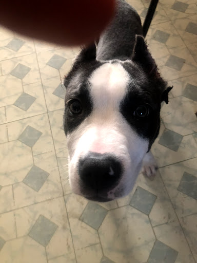 Pet Supply Store «Blue Parkway Bait & Pet Supplies», reviews and photos, 6921 Blue Pkwy, Kansas City, MO 64129, USA