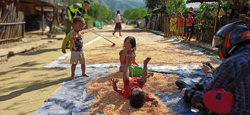 Top 20 cửa hàng bio baby Huyện Trạm Tấu Yên Bái 2022