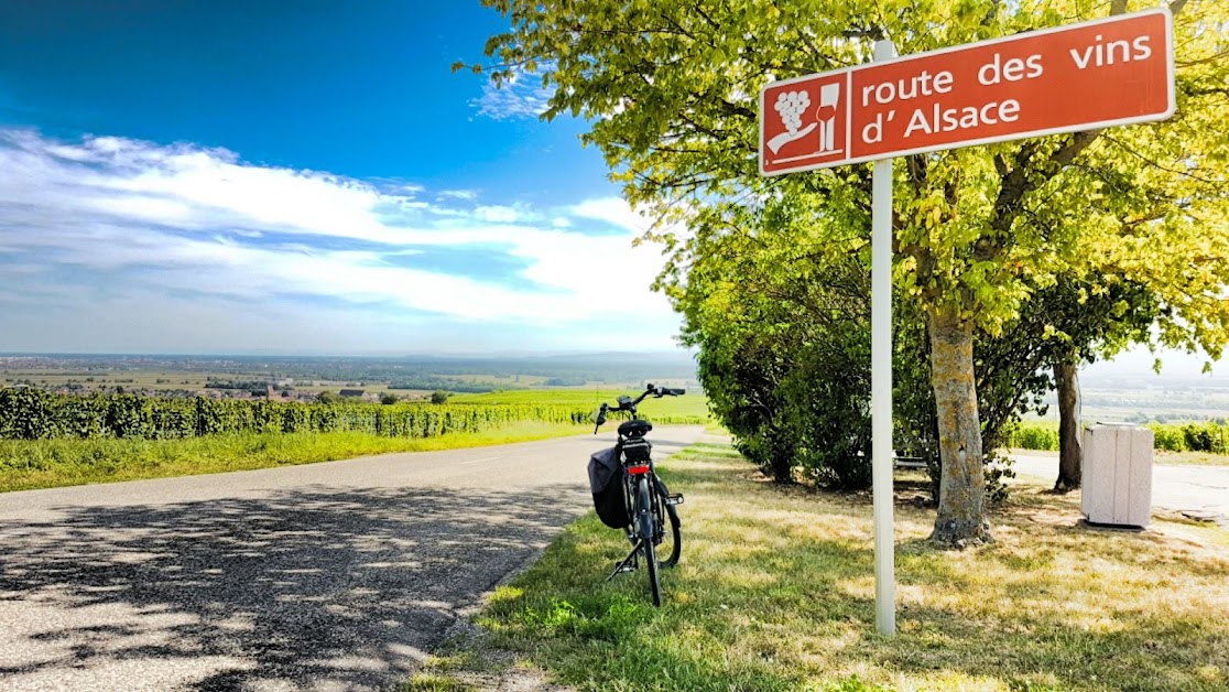 Alsa Cyclo Tours Eguisheim