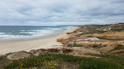 Foto von Praia da Almagreira wilde gegend