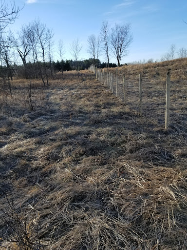 Golf Course «Tanners Brook Golf Course», reviews and photos, 5810 190th St N, Forest Lake, MN 55025, USA