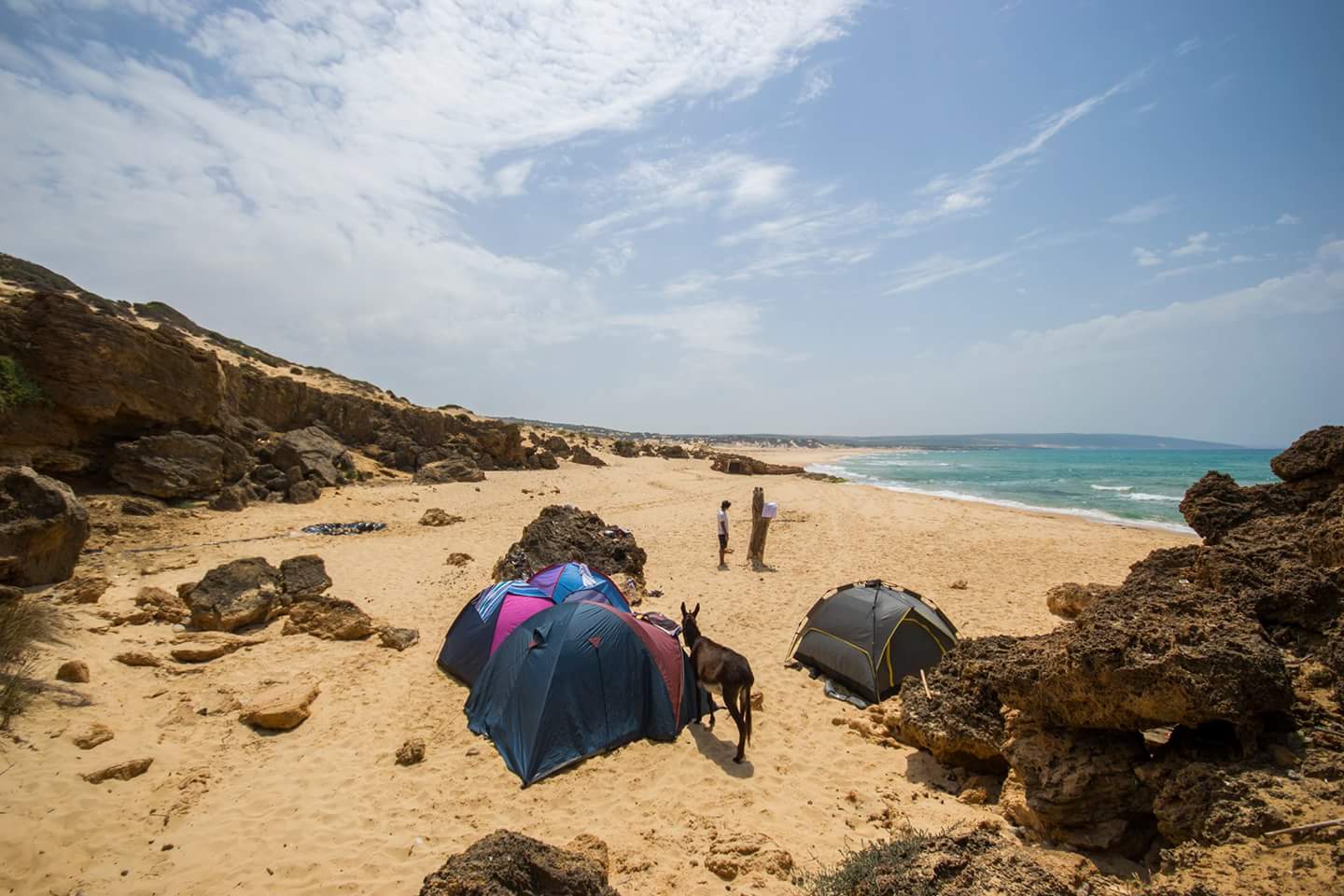 Sejenane Beach II'in fotoğrafı turkuaz saf su yüzey ile