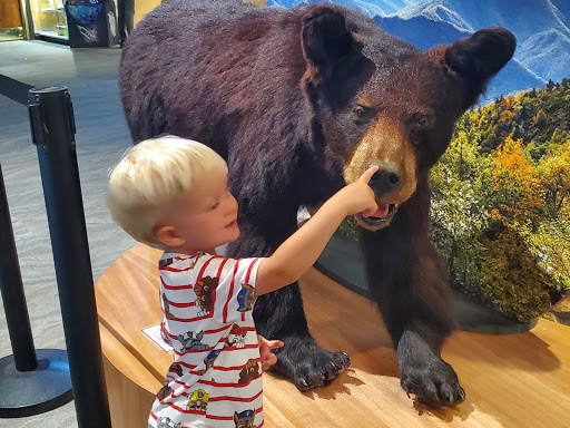 Park «Bays Mountain Park & Planetarium», reviews and photos, 853 Bays Mountain Rd, Kingsport, TN 37660, USA