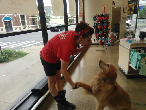 Pet Supply Store «Pet Supplies Plus», reviews and photos, 531 Monroe Ave, Rochester, NY 14607, USA