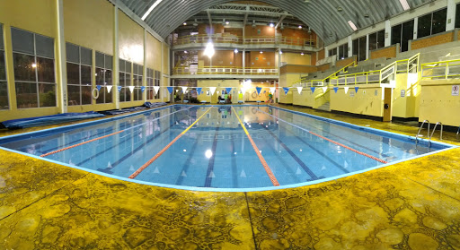 Semi-Olympic Pool Pedro 
