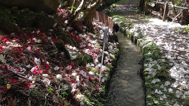 天城グリーンガーデン 静岡県伊豆市湯ケ島 観光名所 グルコミ