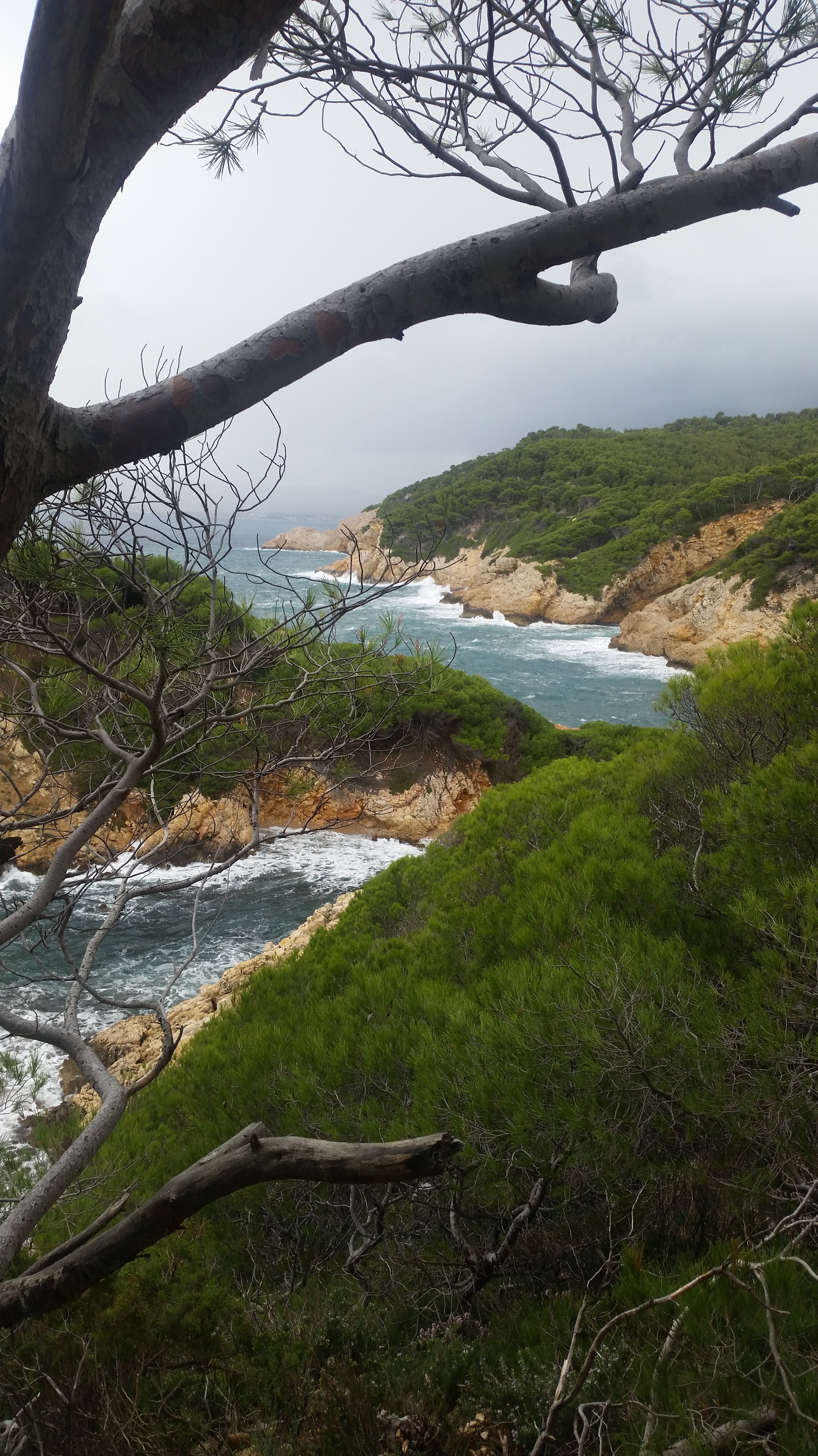 Photo n° 3 de l'avis de Loetitia.a fait le 01/11/2018 à 14:30