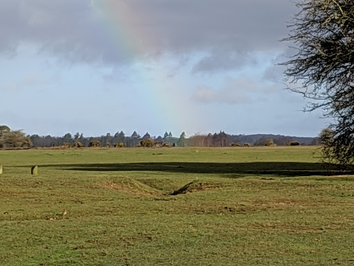 Wilverley Inclosure Car Park