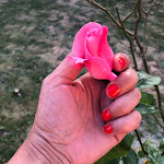 Photo n° 1 de l'avis de Gaëlle. fait le 02/06/2020 à 18:43 pour Chachou'nails à Coubert