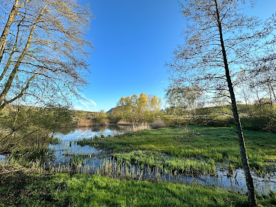 Marais de Poisy à Poisy