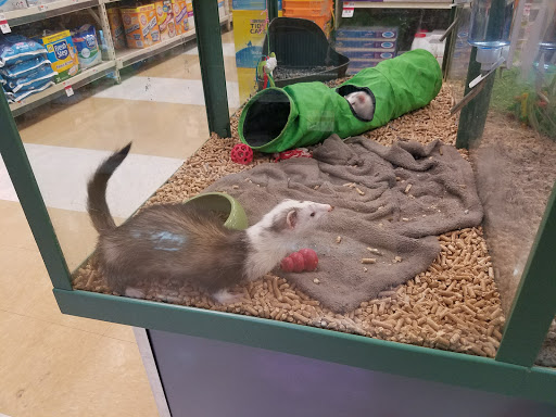 Pet Supply Store «Pet Supplies Plus», reviews and photos, 1960 Jericho Turnpike, East Northport, NY 11731, USA