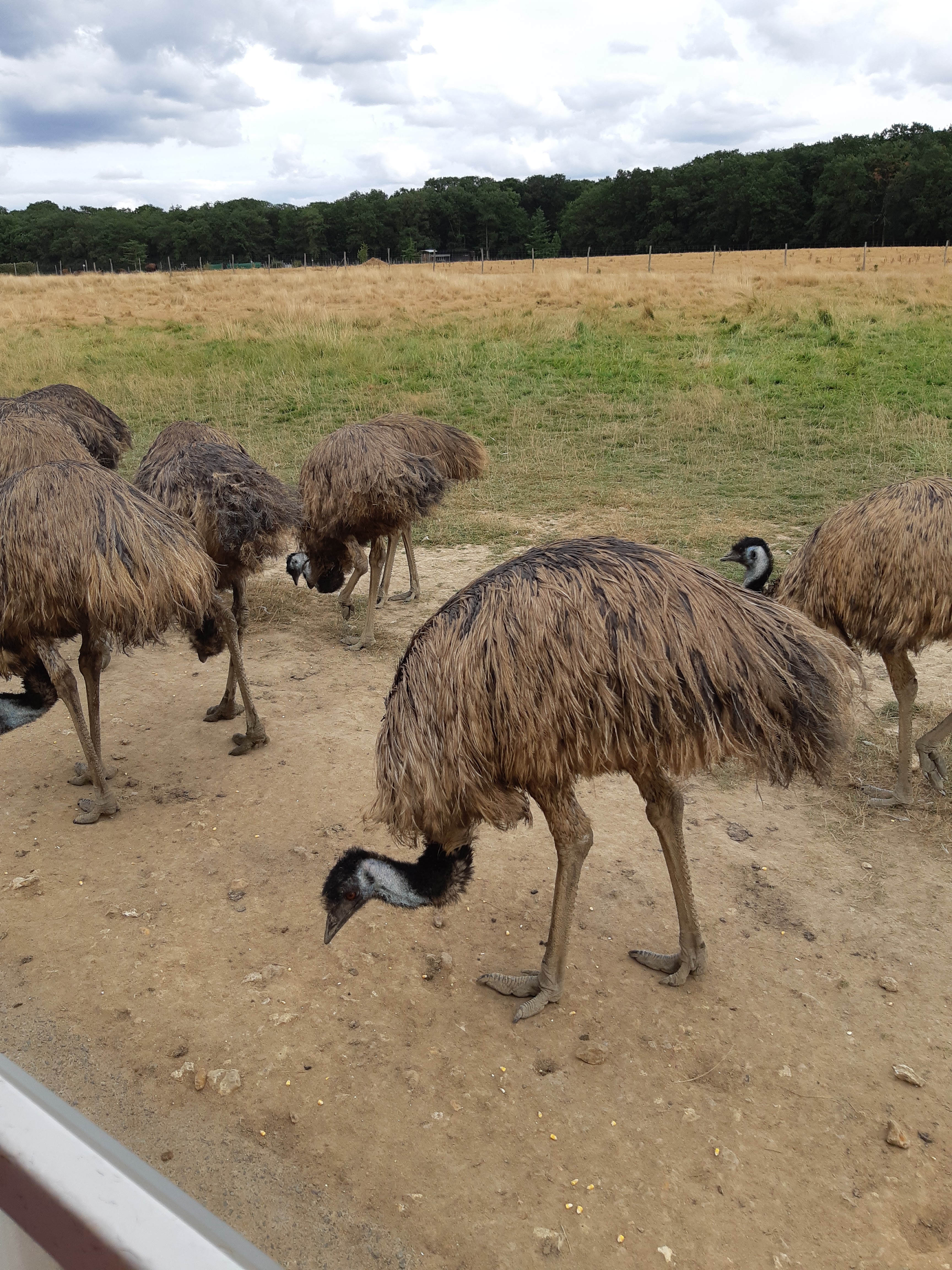 Photo n° 38 de l'avis de Carla.a fait le 10/08/2018 à 15:54