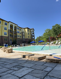 Proxima Pools LLC - Photo 3 - Car repair in , Charlotte