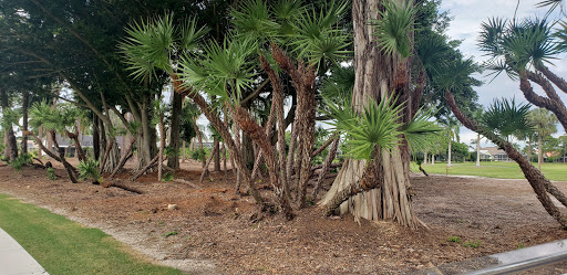 Country Club «Palmetto-Pine Country Club», reviews and photos, 1940 SW 9th Ct, Cape Coral, FL 33991, USA