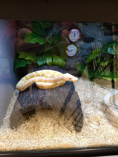 Pet Supply Store «Petco Animal Supplies», reviews and photos, 2541 NW Arterial, Dubuque, IA 52002, USA