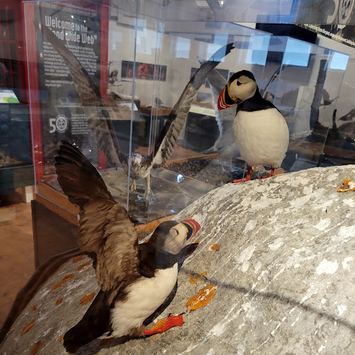 Natural History Museum «George B. Dorr Museum of Natural History», reviews and photos, 105 Eden St, Bar Harbor, ME 04609, USA