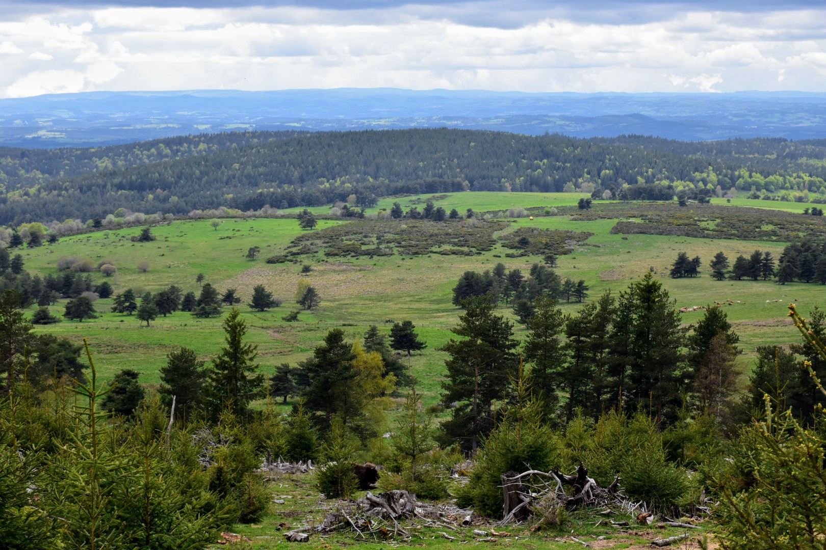 Photo n° 6 de l'avis de Muriel.e fait le 09/05/2023 à 12:53