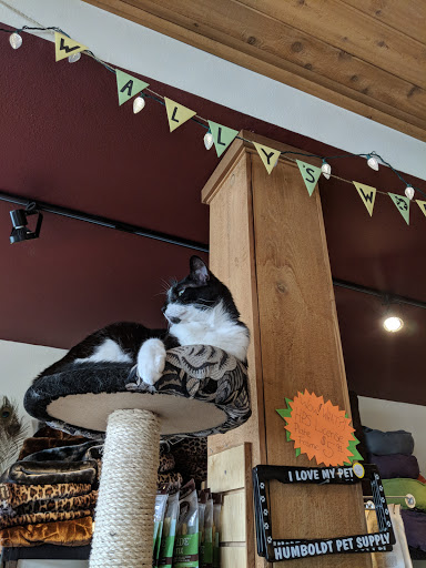 Pet Store «Humboldt Pet Supply», reviews and photos, 145 G St, Arcata, CA 95521, USA