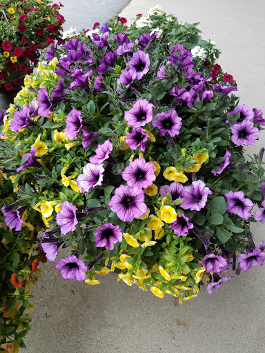 Hardware Store «BDK Hardware, Lumber and Feed», reviews and photos, 660 W Main St, Blanchester, OH 45107, USA