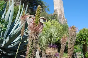 Jardin Méditerranéen de Roquebrun image