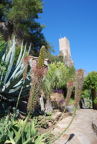 Jardin Méditerranéen de Roquebrun CADE à Roquebrun