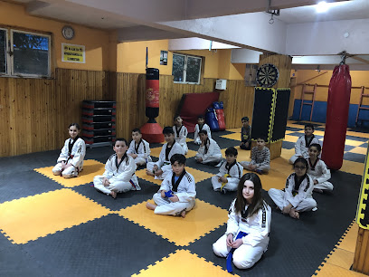 Gölcük Dövüş Sporları Kulübü - Gölcük Belediyespor Taekwondo