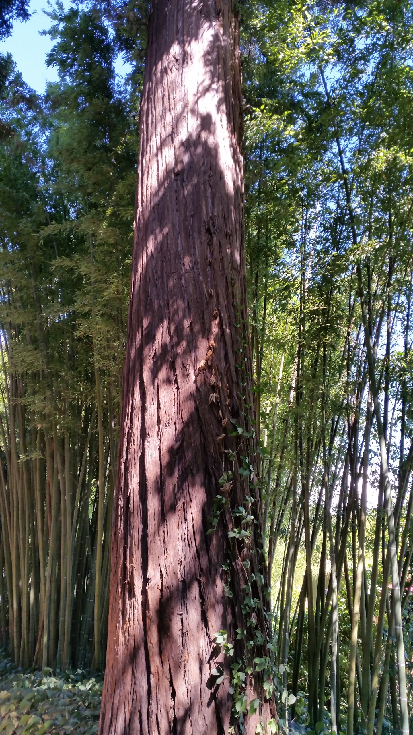 Photo n° 15 de l'avis de Philippe.o fait le 25/07/2017 à 08:49