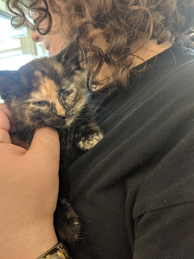 Pet Supply Store «Pet Supplies Plus», reviews and photos, 14839 Detroit Ave, Lakewood, OH 44107, USA