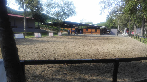 Escuela Equitacion