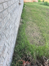 Lawn Love Lawn Care of Huntsville - Photo 6 - Car repair in , Huntsville