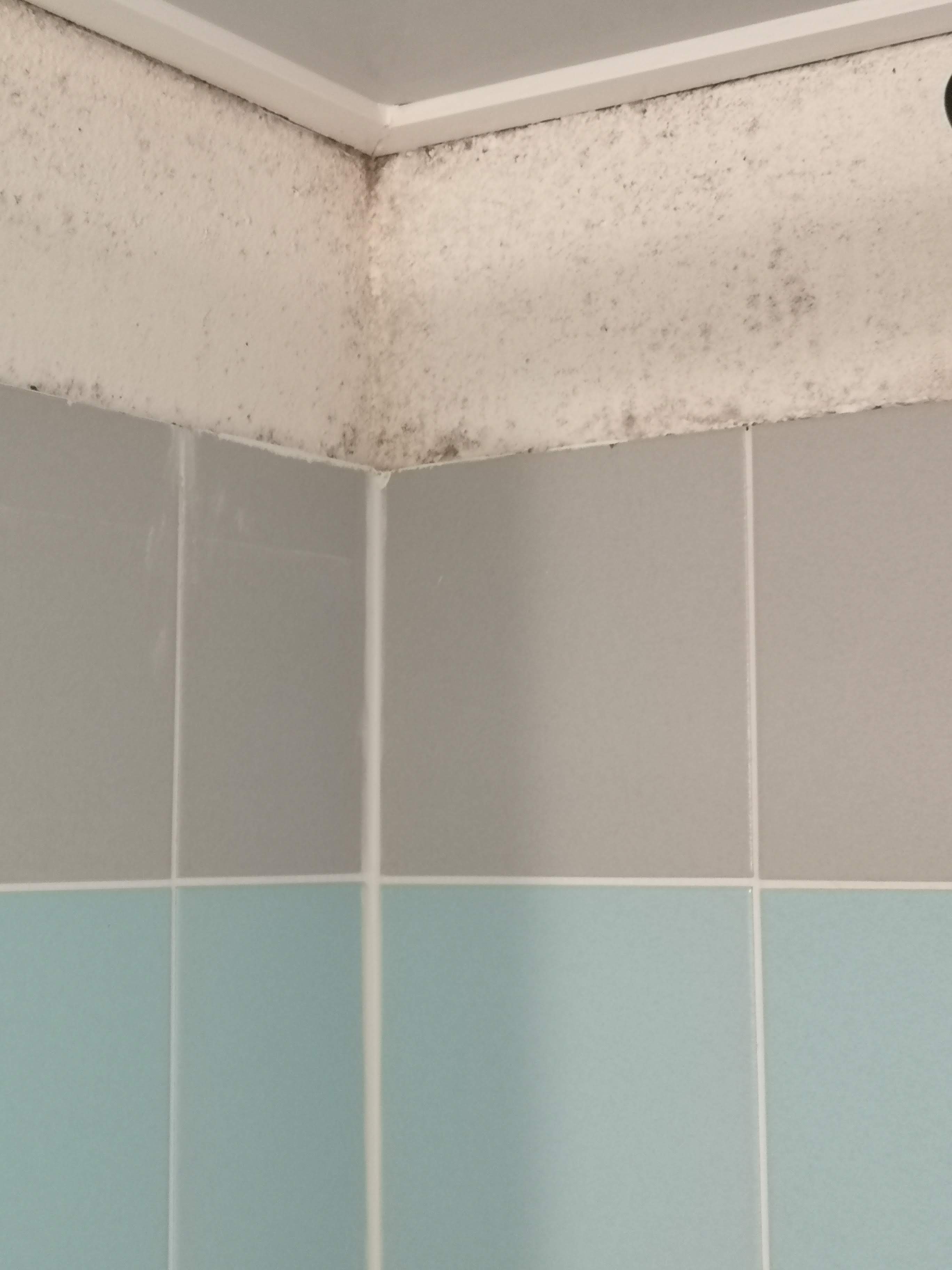 Photo n° 1 de l'avis de Greg. fait le 22/07/2019 à 09:33