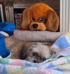 Photo n°13 de Esthima Tôtes à Totes ()