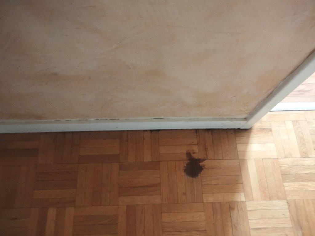 Photo n° 9 de l'avis de Jean-Pierre.A fait le 28/04/2023 à 13:10