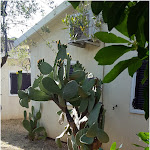 Photo n°10 de l'avis de Bocaj.e fait le 08/08/2017 à 16:30 sur le  Hotel Pellegrino Palace à Vieste