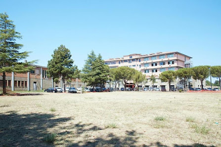 IPU Istituto Universitario Progetto Uomo Via Cardinal Salotti, 1, 01027 Montefiascone VT, Italia