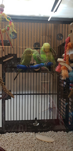 Pet Supply Store «PetSmart», reviews and photos, 5151 E 82nd St, Castleton, IN 46250, USA