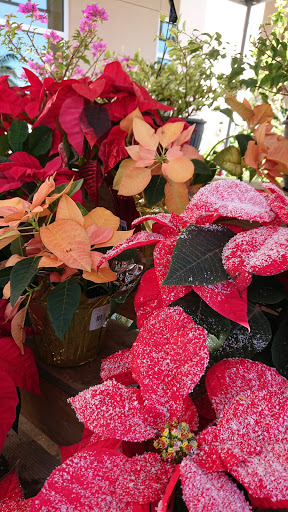 Grocery Store «The Fresh Market», reviews and photos, 311 E Indiantown Rd, Jupiter, FL 33477, USA