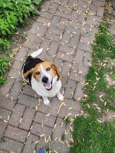 Gift Shop «Sisters Garden», reviews and photos, 4895 IA-1, Kalona, IA 52247, USA