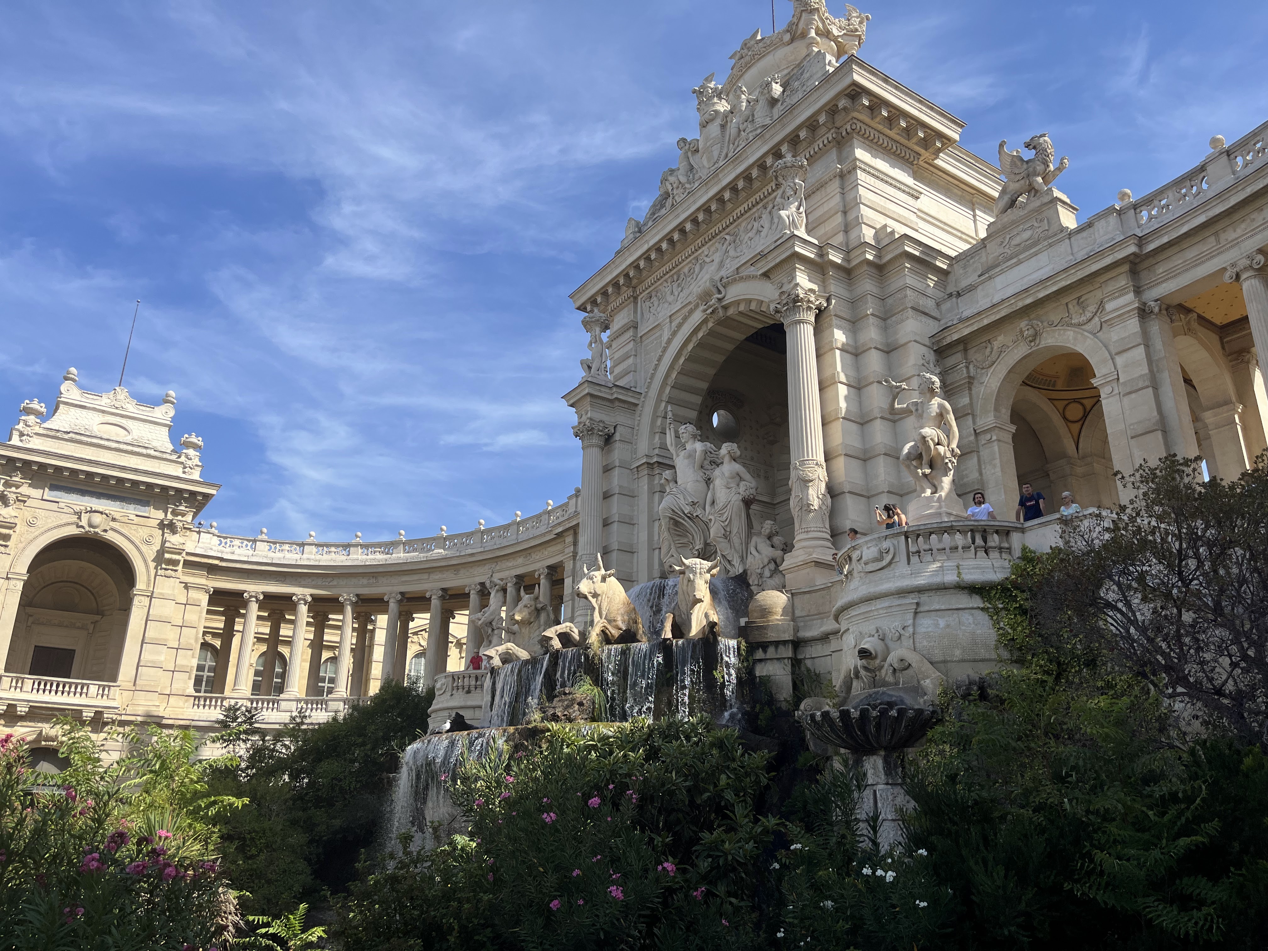 Photo n° 3 de l'avis de Bosco.t fait le 19/08/2023 à 10:29
