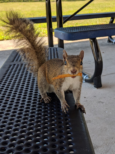 Memorial Park «Veterans Memorial Park», reviews and photos, 250 Shore Dr E, Oldsmar, FL 34677, USA